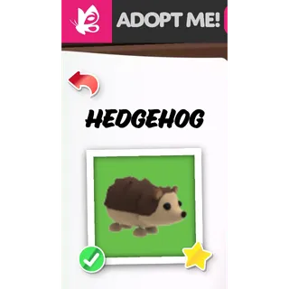 HEDGEHOG FR