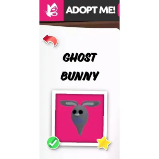 GHOST BUNNY FR