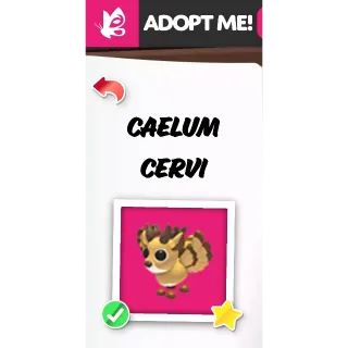 Caelum Cervi FR