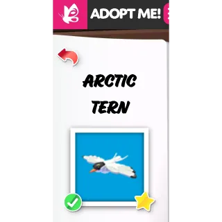 ARCTIC TERN MFR