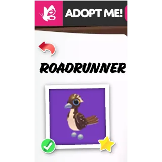 ROADRUNNER NFR ADOPT ME PETS