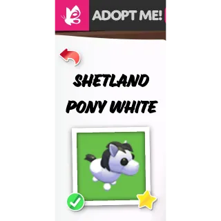 Shetland Pony White NFR