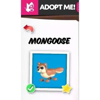 MONGOOSE FR