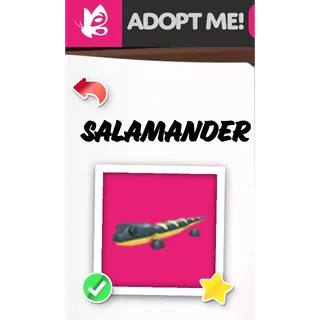 SALAMANDER NFR