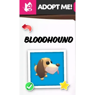 Bloodhound MFR ADOPT ME PETS