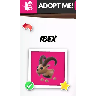 IBEX NFR ADOPT ME PETS