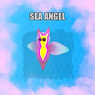 Sea Angel MFR