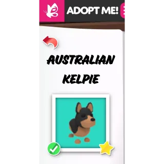 AUSTRALIAN KELPIE NFR