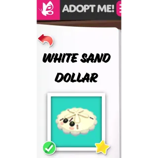 White Sand Dollar FR ADOPT ME PETS