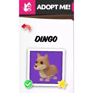 Dingo NFR ADOPT ME PETS