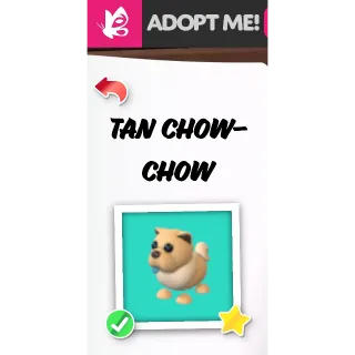 TAN CHOW CHOW FR