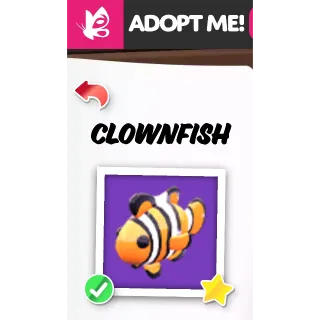 Clownfish MFR