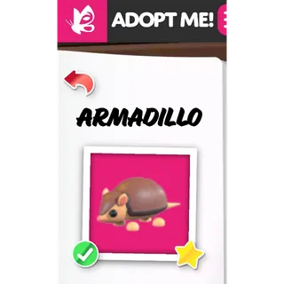 ARMADILLO MFR