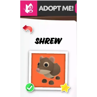 Shrew FR ADOPT ME PETS