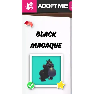 Black Macaque MFR