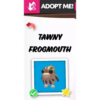 Tawny Frogmouth MFR ADOPT ME PETS