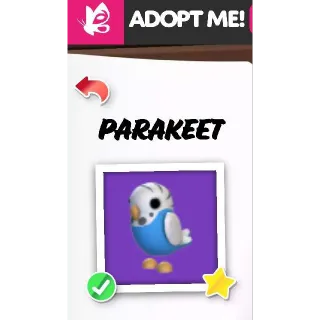 PARAKEET FR ADOPT ME