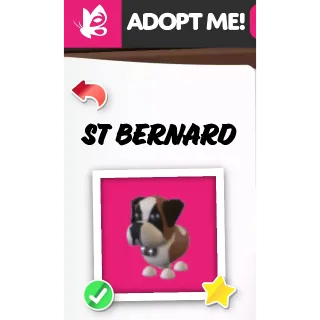St Bernard NFR ADOPT ME PETS