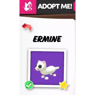 ERMINE NFR ADOPT ME PETS