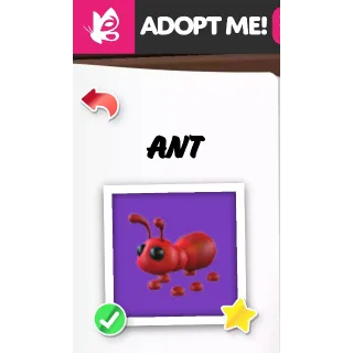 ANT NFR