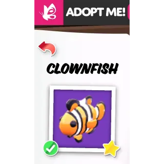 Clownfish NFR ADOPT ME PETS