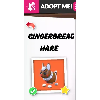 GINGERBREAD HARE NFR ADOPT ME PETS