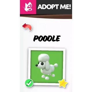 POODLE FR ADOPT ME PETS