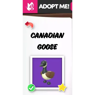Canadian Goose MFR ADOPT ME PETS