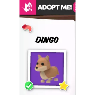 Dingo MFR ADOPT ME PETS