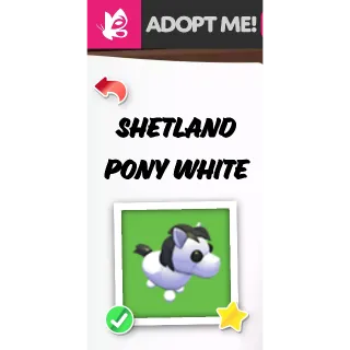 Shetland Pony White FR