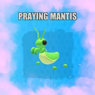 Praying Mantis FR