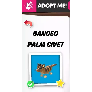 Banded Palm Civet NFR