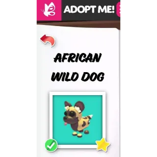 African Wild Dog FR Pets