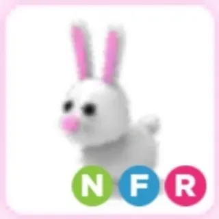 NEON Bunny NFR