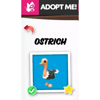 OSTRICH NFR ADOPT ME PETS