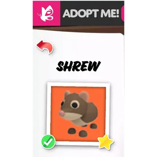 Shrew FR ADOPT ME PETS