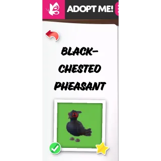 Black-Chested Pheasant No Potion Full Grown