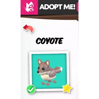 Coyote NFR ADOPT ME PETS