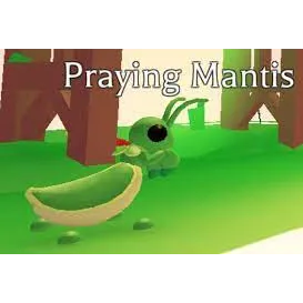 Praying Mantis MFR