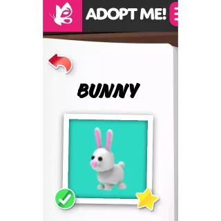 Bunny FR