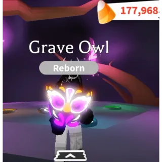 grave owl MFR