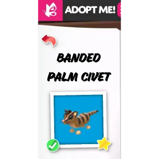 Banded Palm Civet MFR