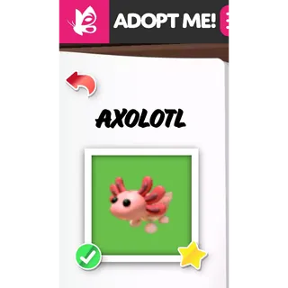AXOLOTL NFR
