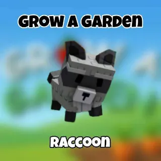 raccoon grow a garden