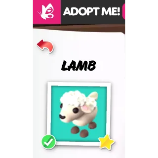 LAMB NFR