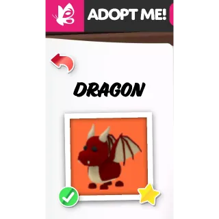 Dragon FR ADOPT ME PETS