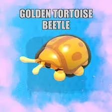 GOLDEN TORTOISE BEETLE FR