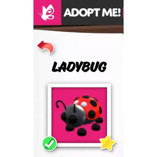 LADYBUG MFR