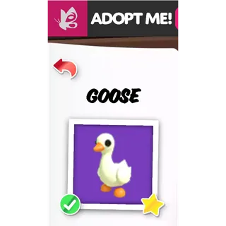 GOOSE NFR ADOPT ME PETS