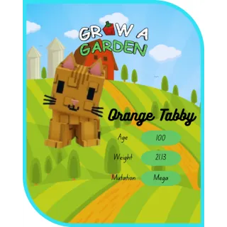 Mega Orange Tabby